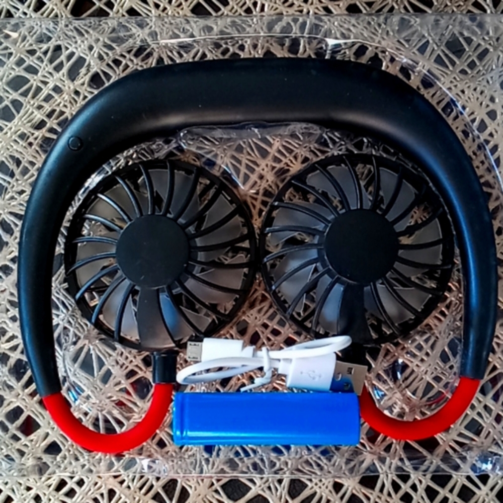 Wearable Sports Fan